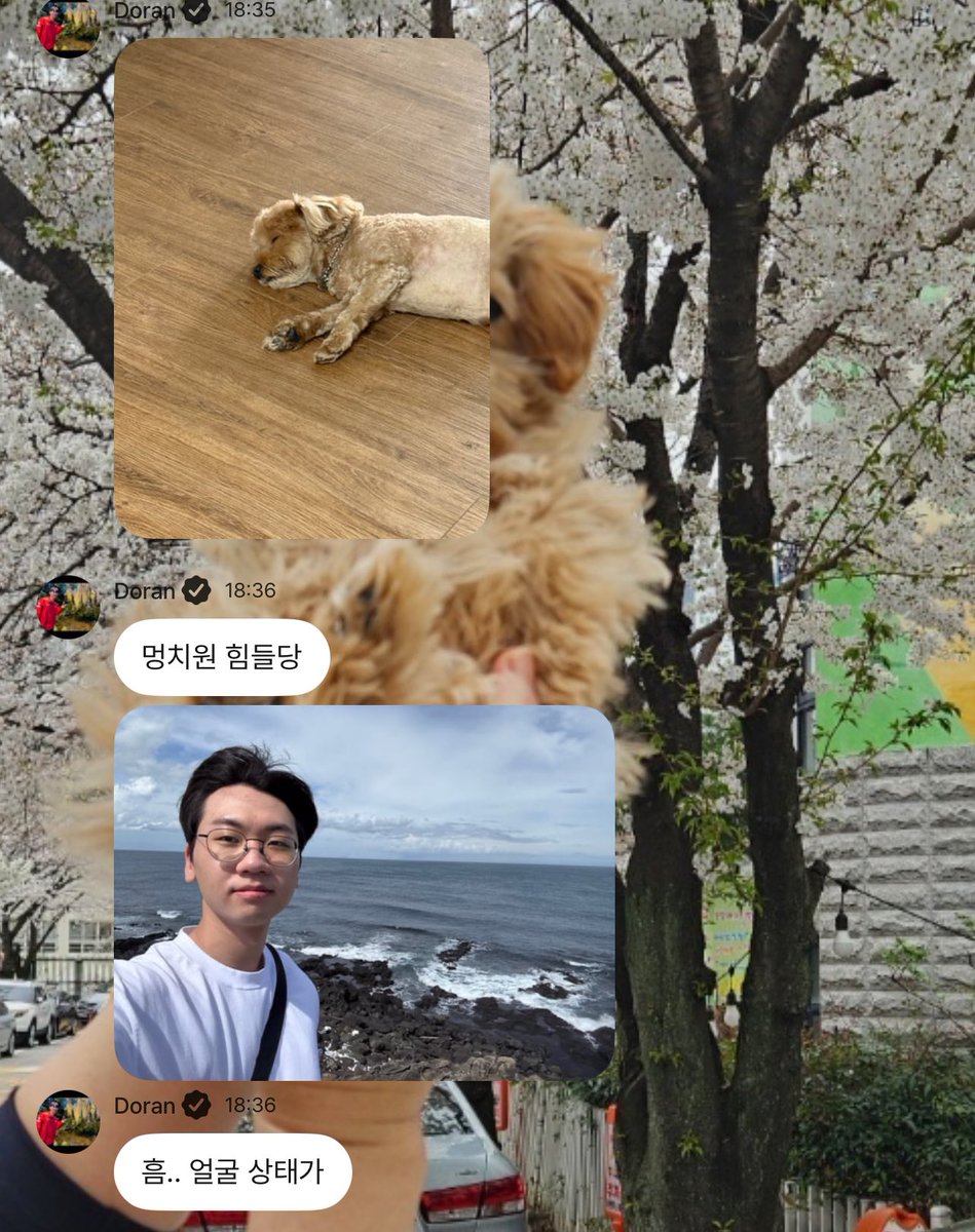 ran_do0722's tweet photo. 도란 바닷가 휴가
모닝이 멍치원

#Doran #도란 #POP🫧 https://t.co/bRaQuiJnt8