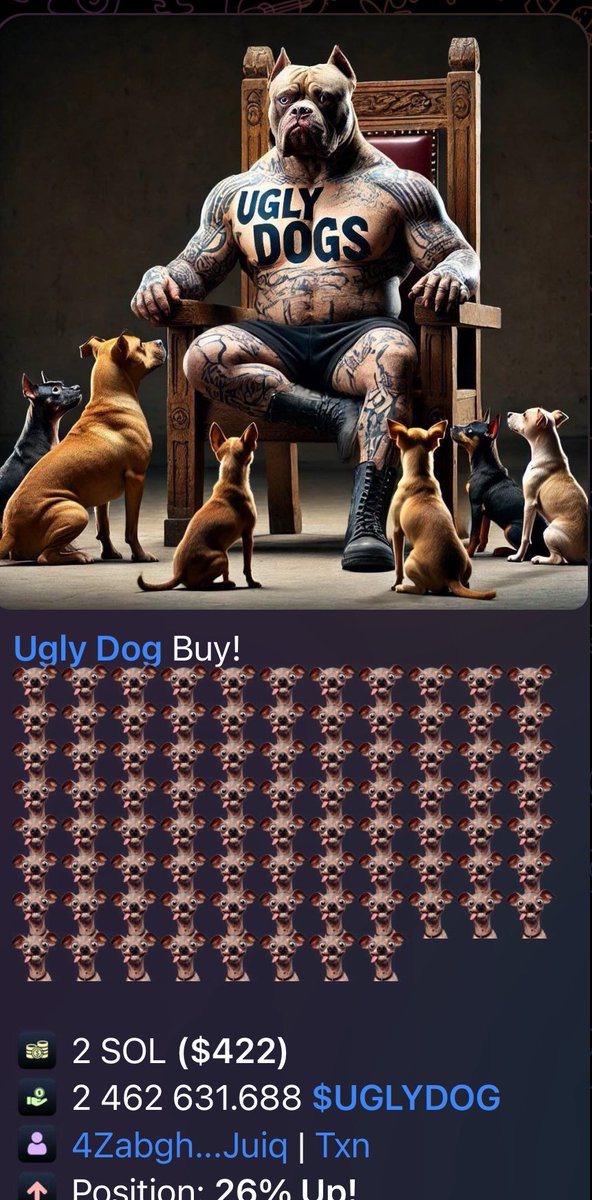 There are probably a few #uglydogs out there stocking up on #tokens before it's too late 😎😎😎

Buy $UGLYDOG <a href="/AscendEX_/">AscendEX</a> or Phantom 

74Rq6Bmckiq8qvARhdqxPfQtkQsxsqVKCbDQL5PKpump

#memecoin #moon #indonesian