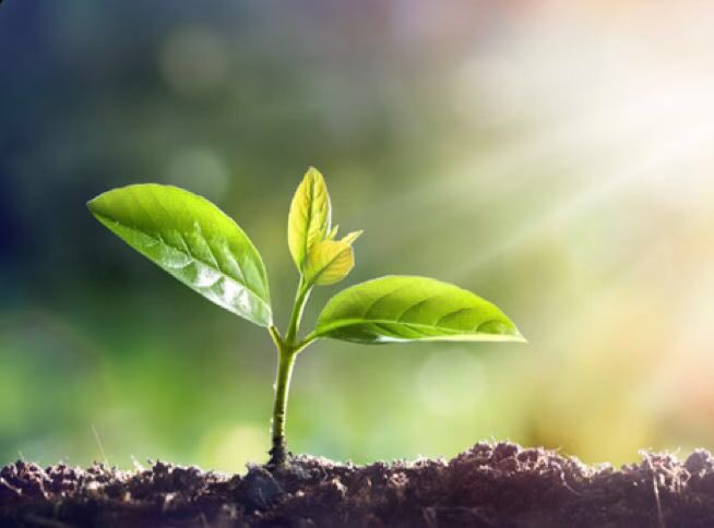 哪来的地狱？这人间的土壤里，万万年，万万生物的尸骨🦴堆积而成。