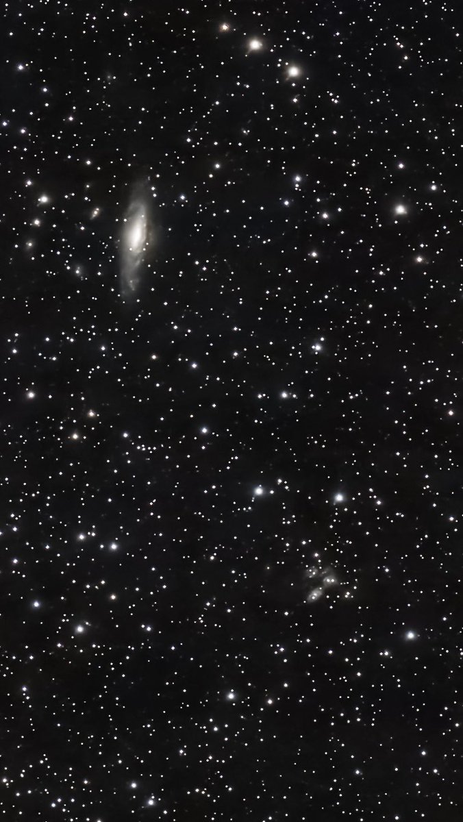 Jeremy Rand tweet media