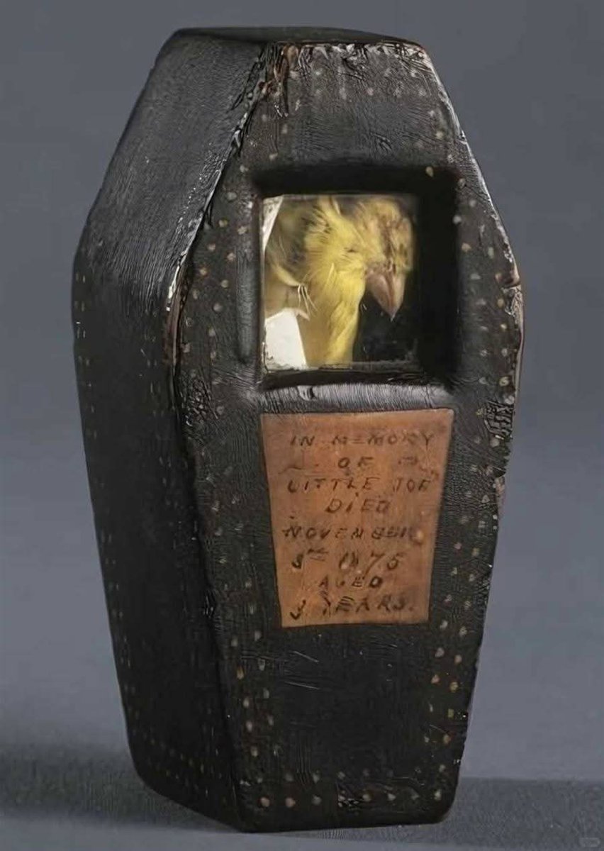 탄광에서 가스 누출 임무를 수행하다 사망한 카나리아를 위해 광부들이 만들어준 관

짠하네...