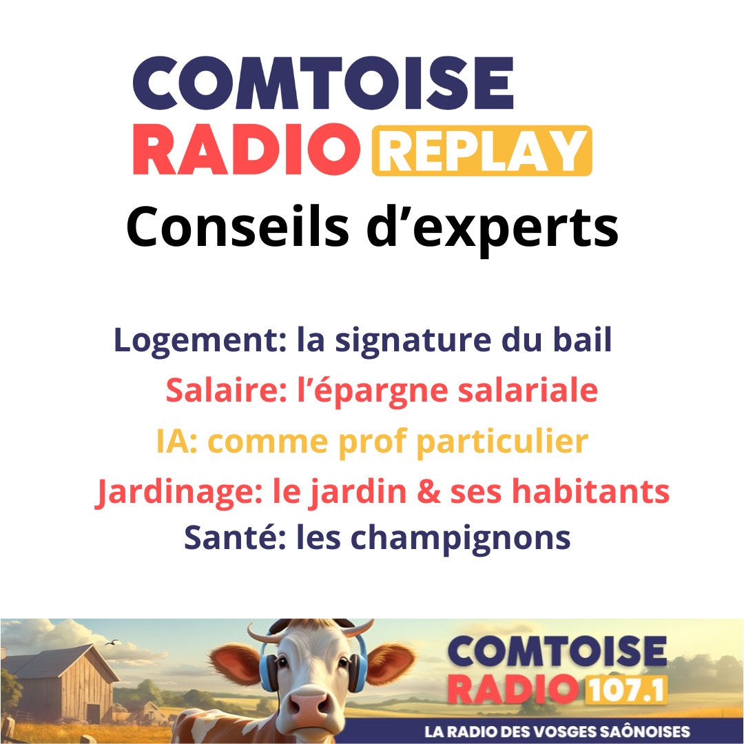 Replay: Conseils d'experts 
👉 comtoiseradio.fr
Avec Sandrine de l'ADIL 70-90, Athena Patrimoine bfc, Johan Spécialiste et formateur IA en Franche Comté, Mathieu de Voignier Paysagiste &amp; Dominique de la Maison de Santé des Professionnels du bassin de Vauvillers