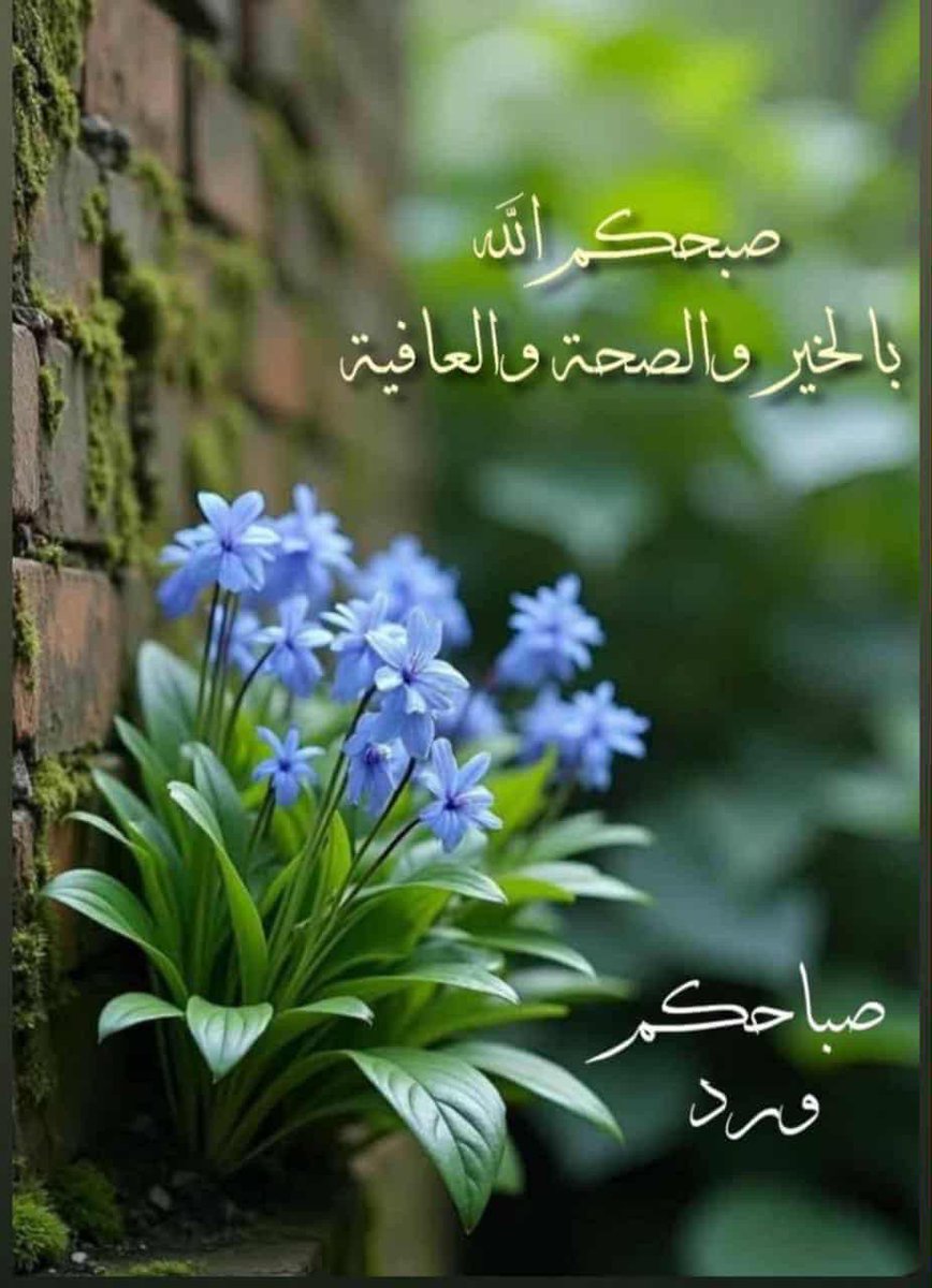 Antsar ALjumaili (@aljumailiantsar) on Twitter photo 