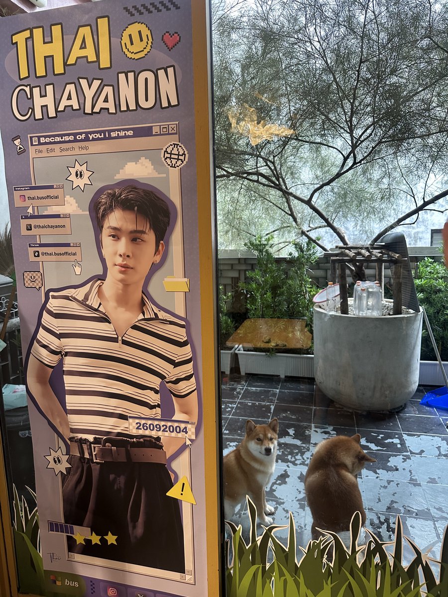 Patsnnn's tweet image. น้องๆรออยู่นะค้าบ แวะมาหากันเยอะๆน้า
วันนี้มีเป่าเค้ก และจับ lucky draw ด้วยคับ
เค้กอร่อยมาก มากิงเค้กด้วยกันนะค้า 💜

📍: Shibainu Story 🦊☘️
🕚: 11:00-20:00 
🎂: เป่าเค้ก  |17:00 
🎁 : Lucky draw |18:00 

#THAIchayanon 
#21stShiningTHAIstory