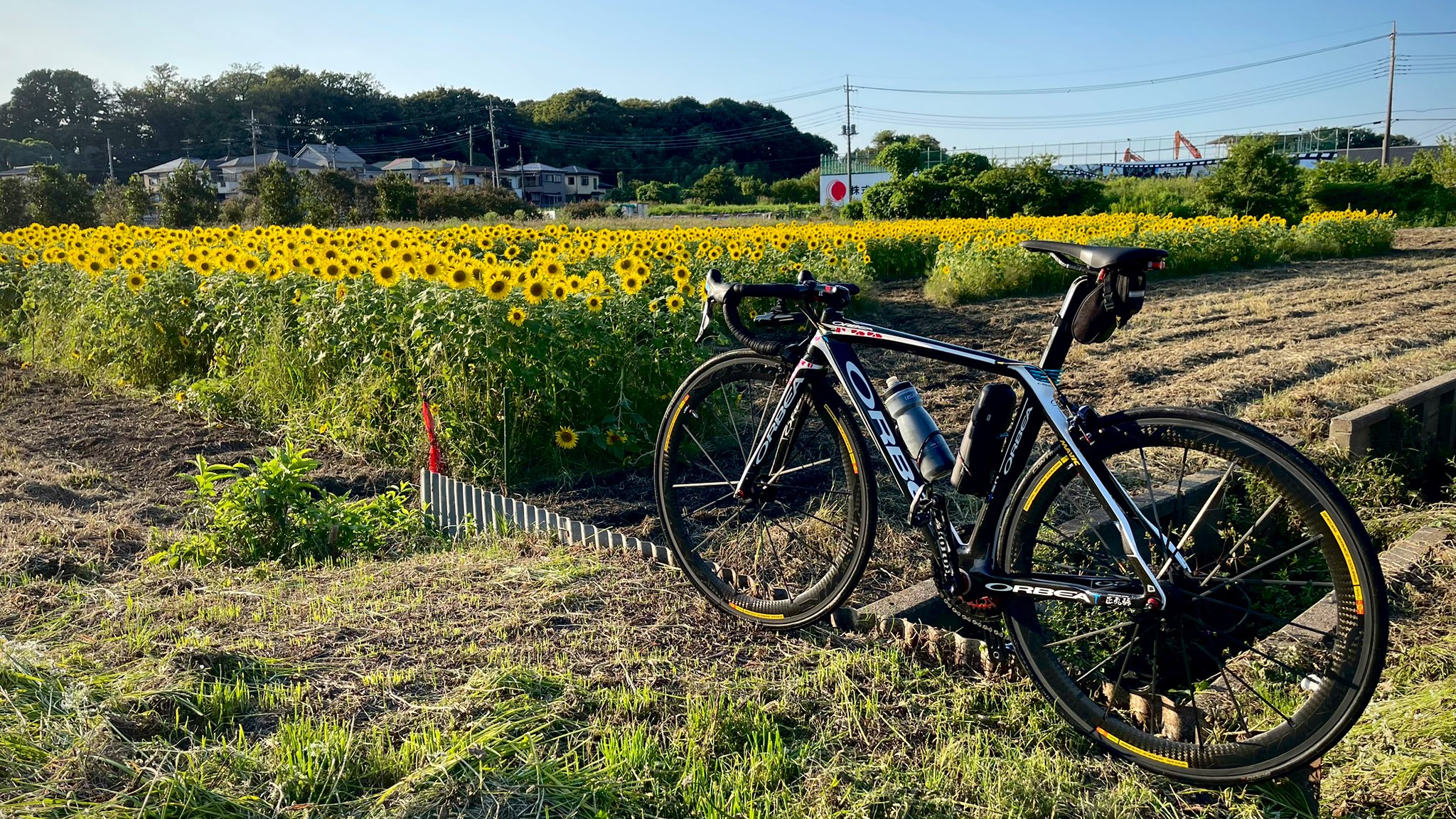 ⭐︎キブロワイトページです Amazon | Sasuori 6チャンネルデジタルマイクラインオーディオ