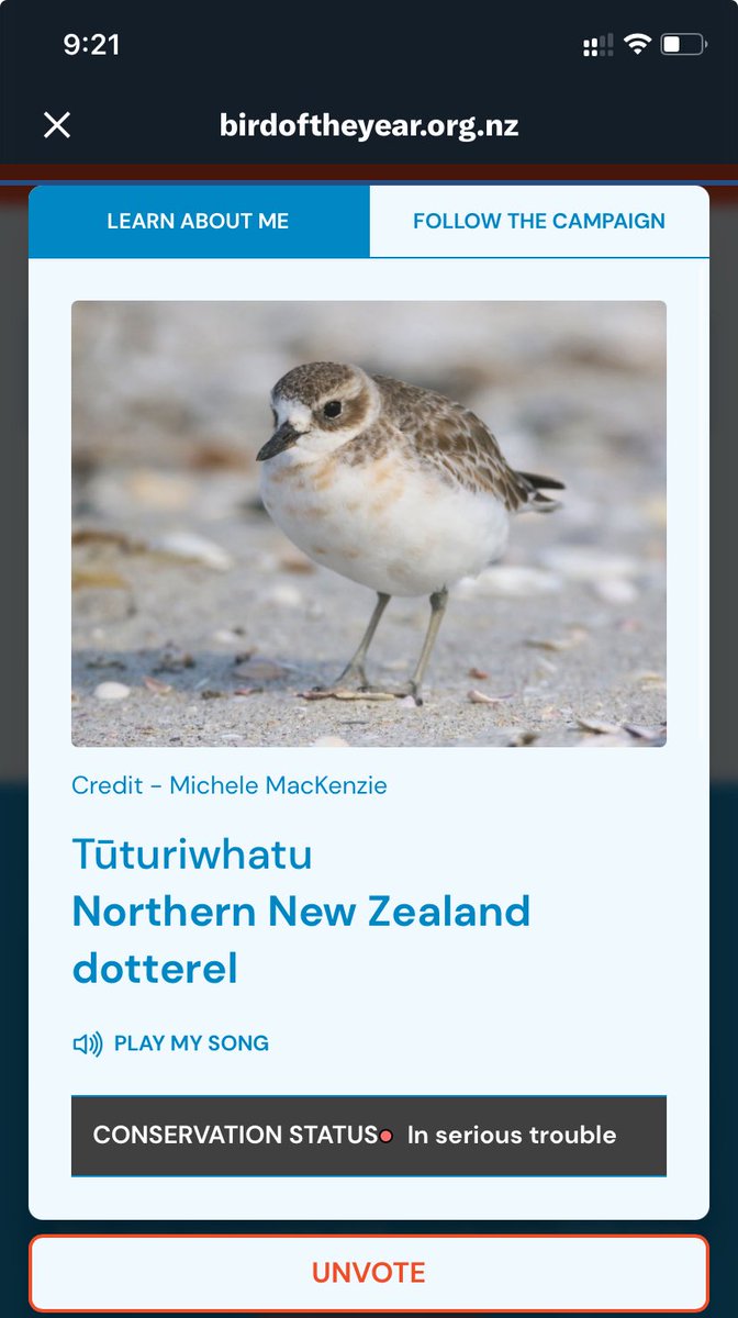 YOU DONT HAVE TO BE IN NZ TO VOTE EVERYONE VOTE TŪTURIWHATU (northern dotterel) THEY NEED THIS WIN