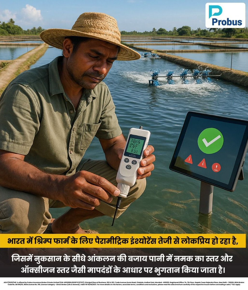ProbusInsurance's tweet image. पानी में नमक और ऑक्सीजन स्तर तय करेंगे आपका क्लेम – श्रिम्प फार्मिंग में किसानों की आजीविका की सुरक्षा, Parametric Insurance के साथ।🦐✅

#farmersfirst #farmerinsurance #withprobus