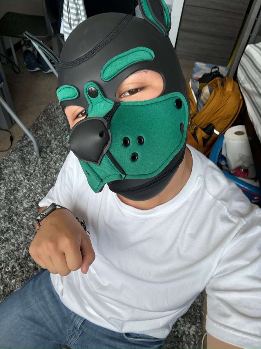ArchiPupper's tweet photo. Bark bark bark

 #puppyplay https://t.co/9UMsDzZcd9
