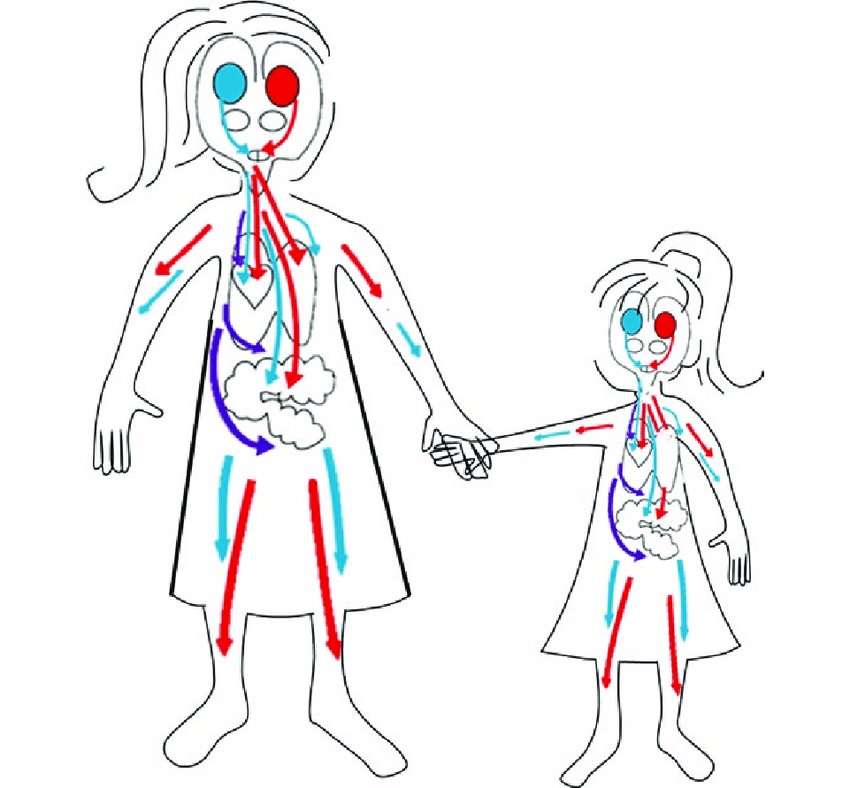 gerrydiamond71's tweet image. Trauma is not what happened to you. Trauma is the wound that you carry because of what happened to you.
What  should have happened that didn't. The lack of connection, the neglect.
The care that you never got.
This is called relational trauma, which is too often overlooked.
🧠🌱