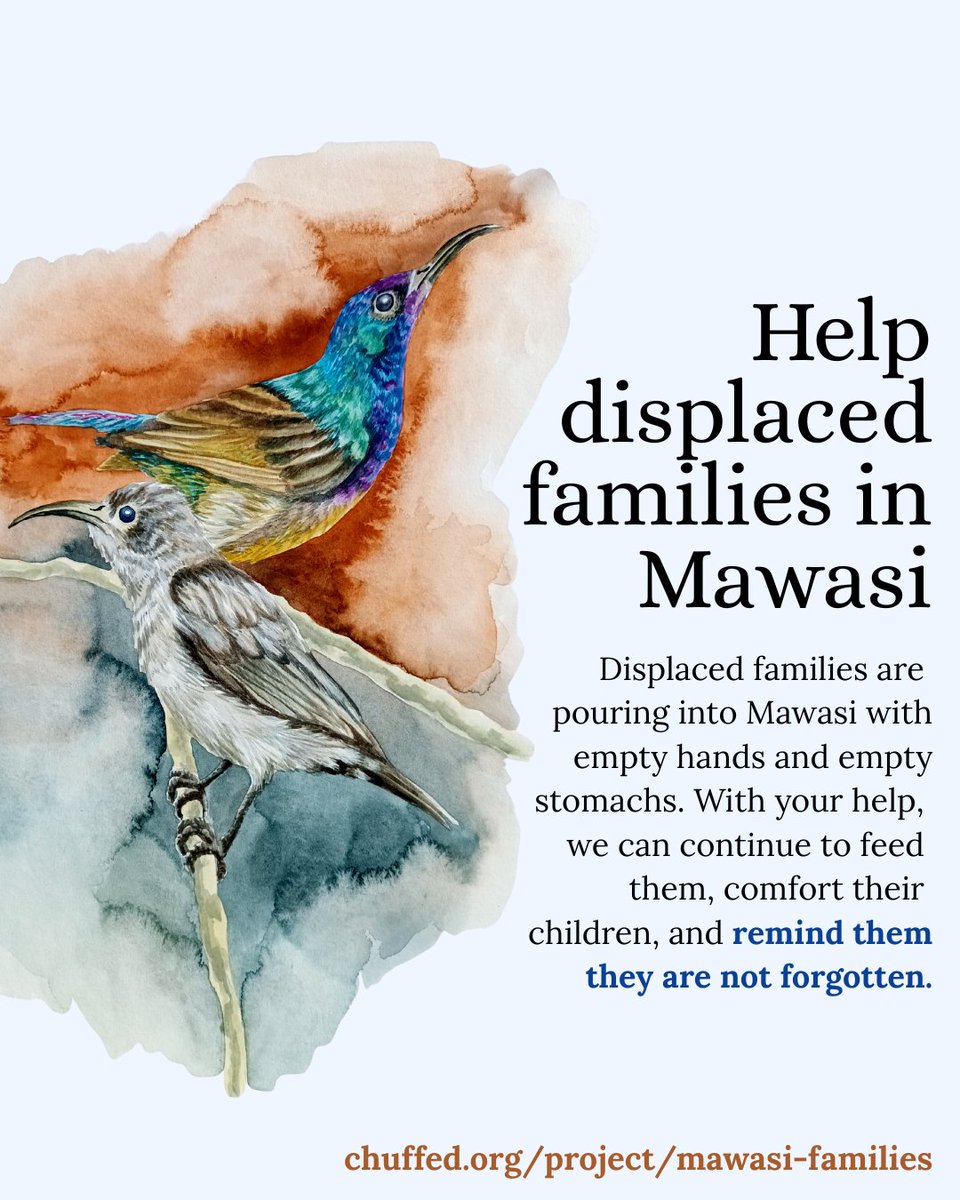 Good morning from this side of the world. You can start your weekend by giving support to volunteers helping their direct neighbors.This is a vetted campaign. Link in comments. Please help however you can!