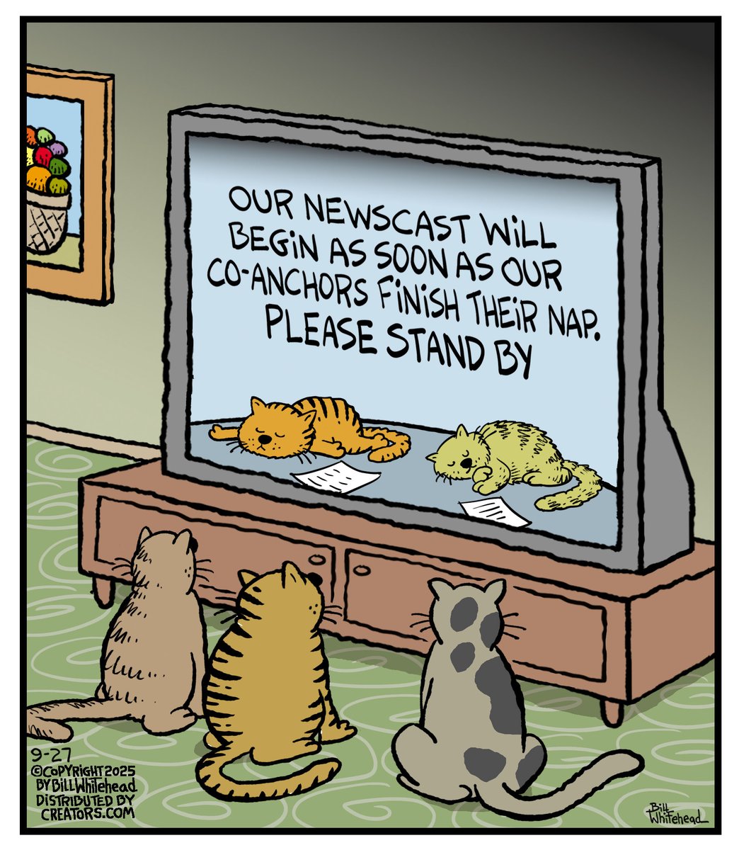 Free Range Comic. (@billwhitehead8) on Twitter photo 