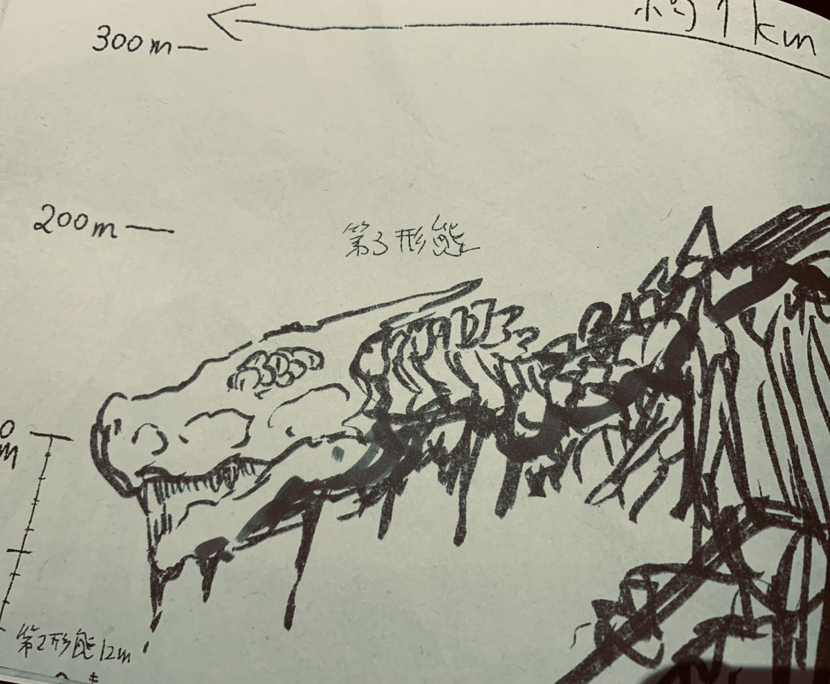シャノン tweet media