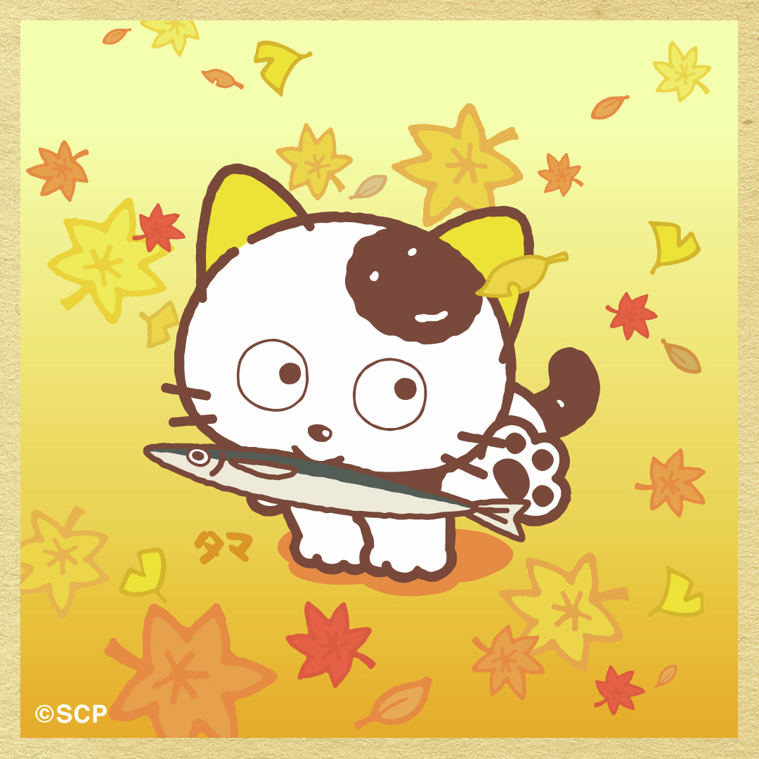 今年は大漁らしいサンマ🐟 みんなはもう食べた？