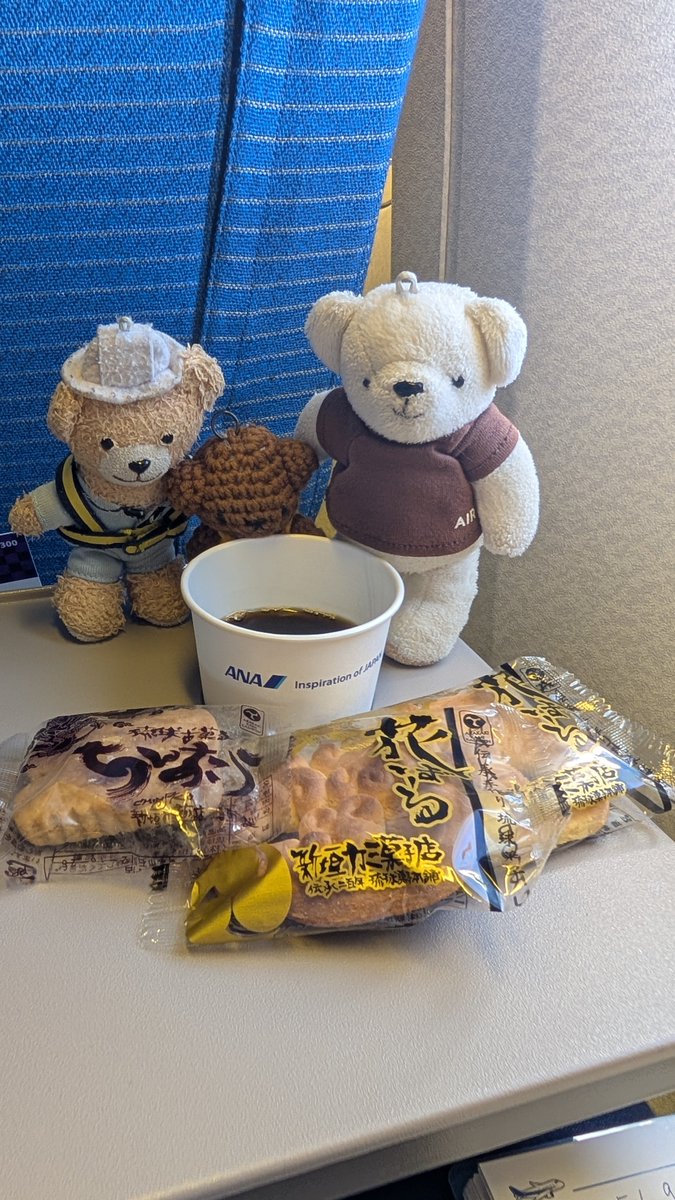 seibi3_beardo3's tweet photo. https://t.co/WD38X4oFeJ