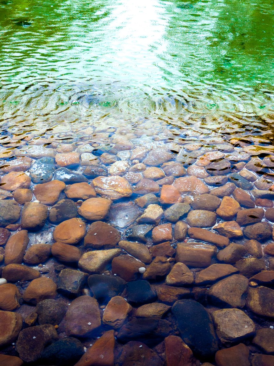 gogiinc's tweet image. Shot on #GooglePixel10  ( Google Pixel 10)  every detail, every color, captured like never before.