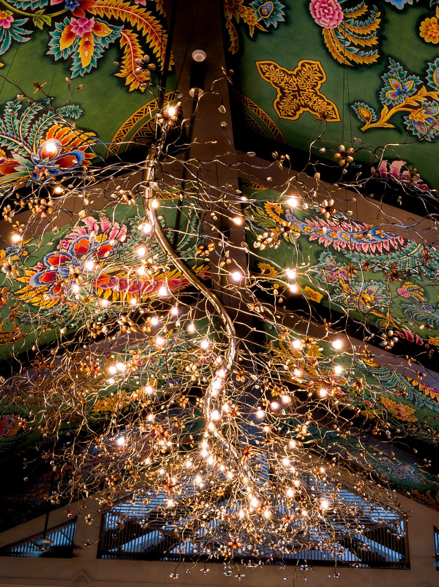 gogiinc's tweet image. Shot on #GooglePixel10  ( Google Pixel 10)  every detail, every color, captured like never before.