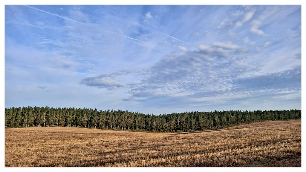 Altos de Guítara 
#paisaxeando