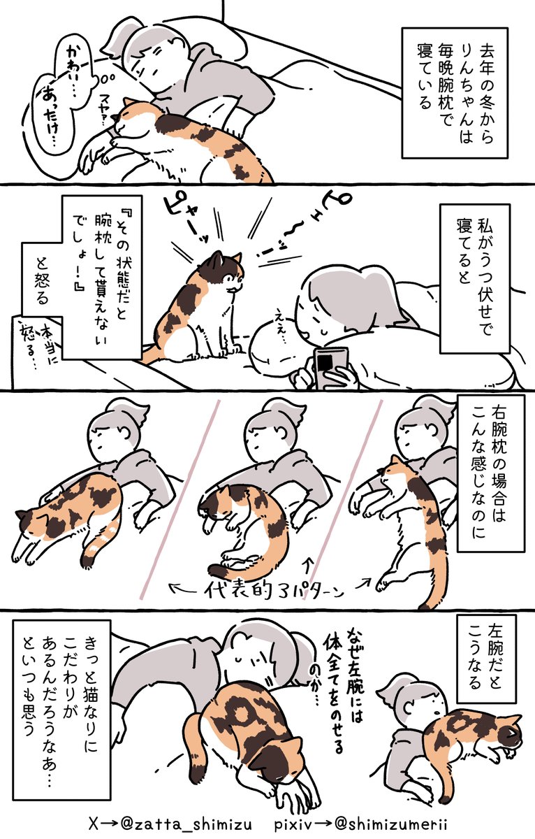葉介🐈🐢11/16SPARK (@yosu2222): 