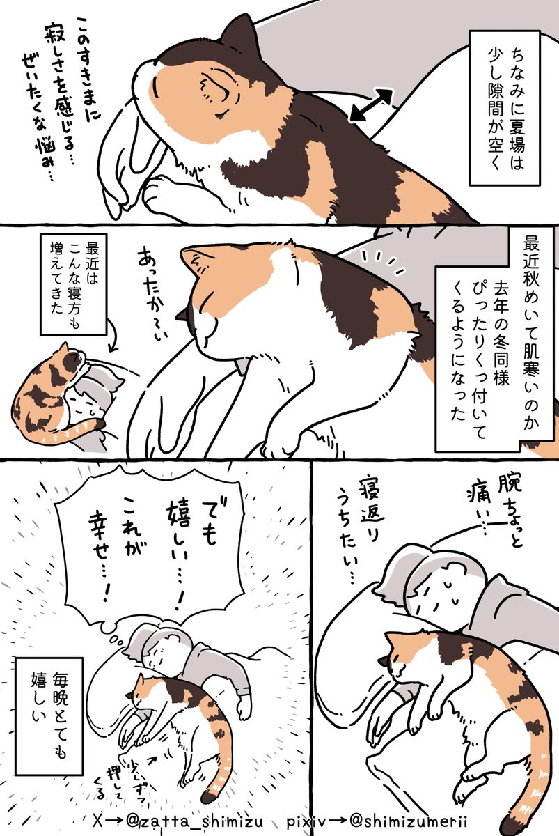 ねこ葉っぱ 66940147156a965275644e8ed7cc35