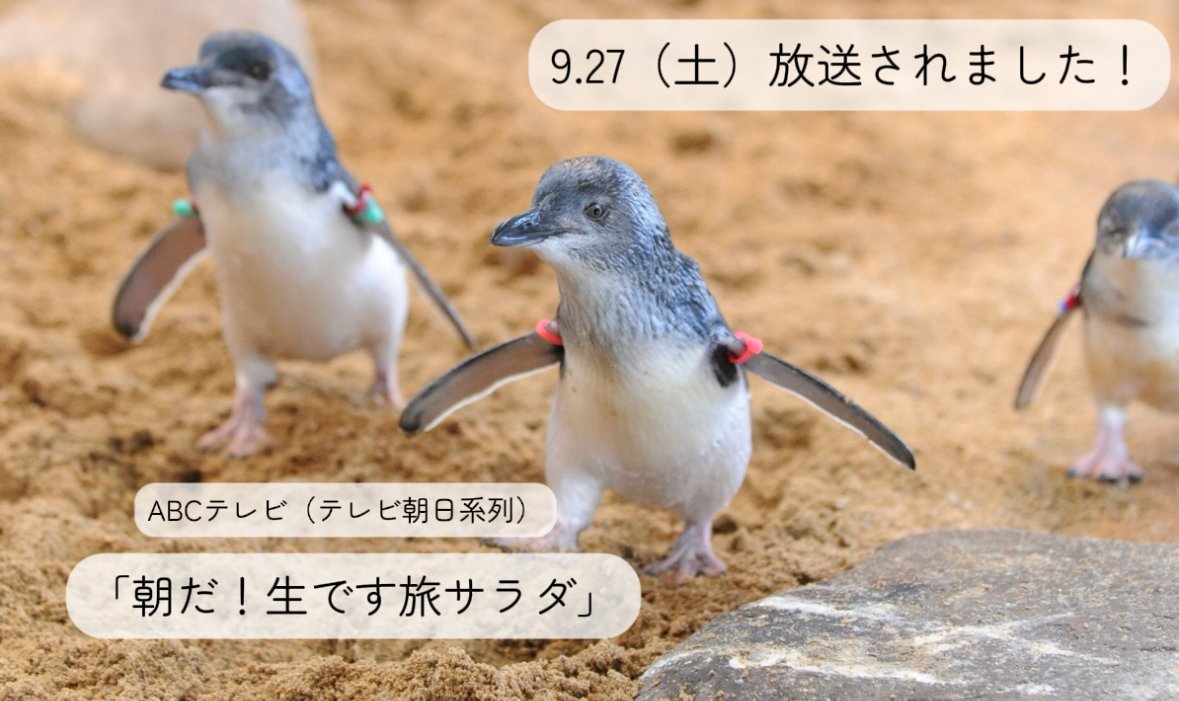 ABCテレビ（テレビ朝日系列）「朝だ！生です旅サラダ」にて当館を紹介