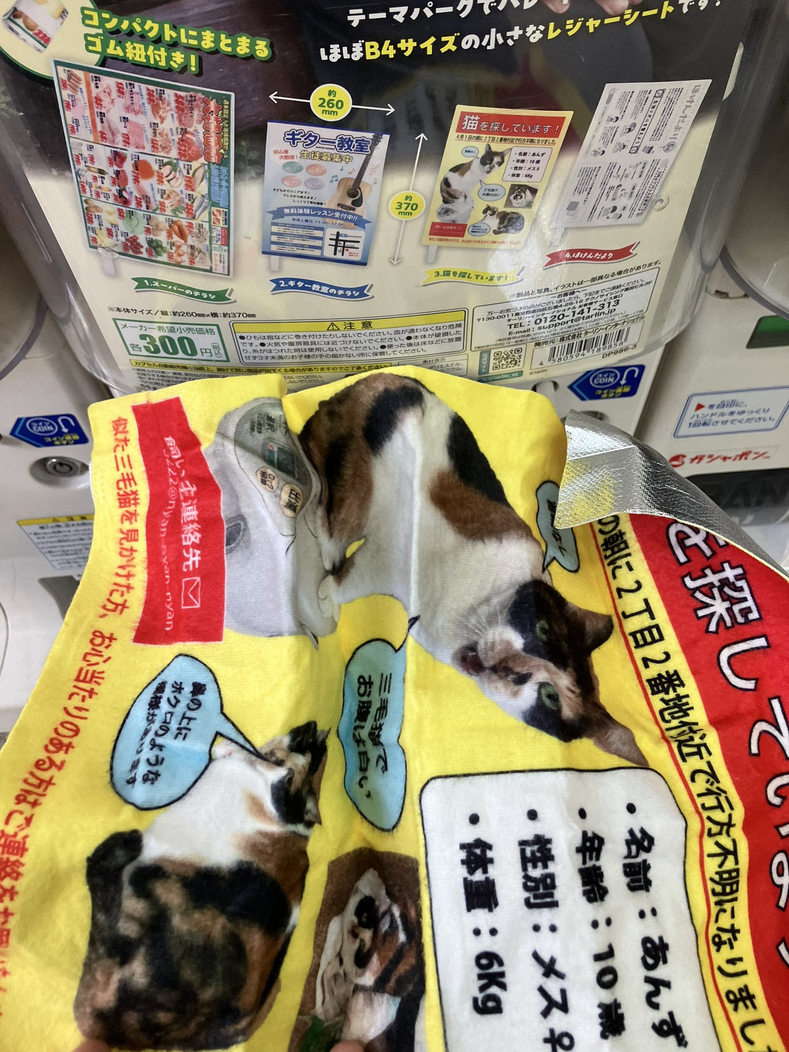 ゲサモリ社長ページ ゲサモリ社長ページ SHE社外取締役に株式会社morich代表取締役