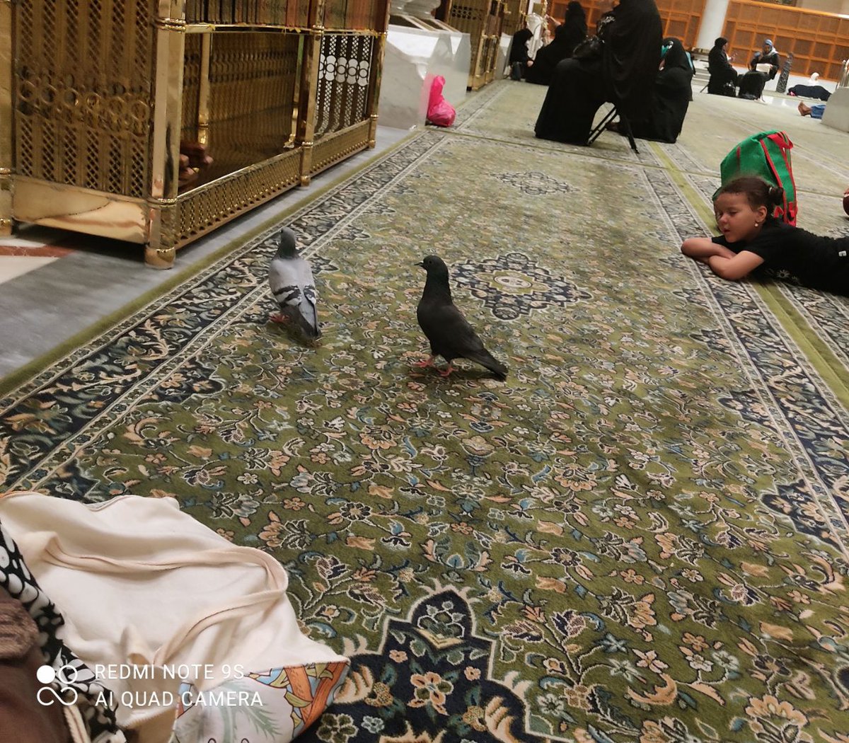 Shaymaa_H_Saad's tweet photo. بينما نحن جلوسٌ عندَ رسولِ الله :') https://t.co/XU5JM8uAtf