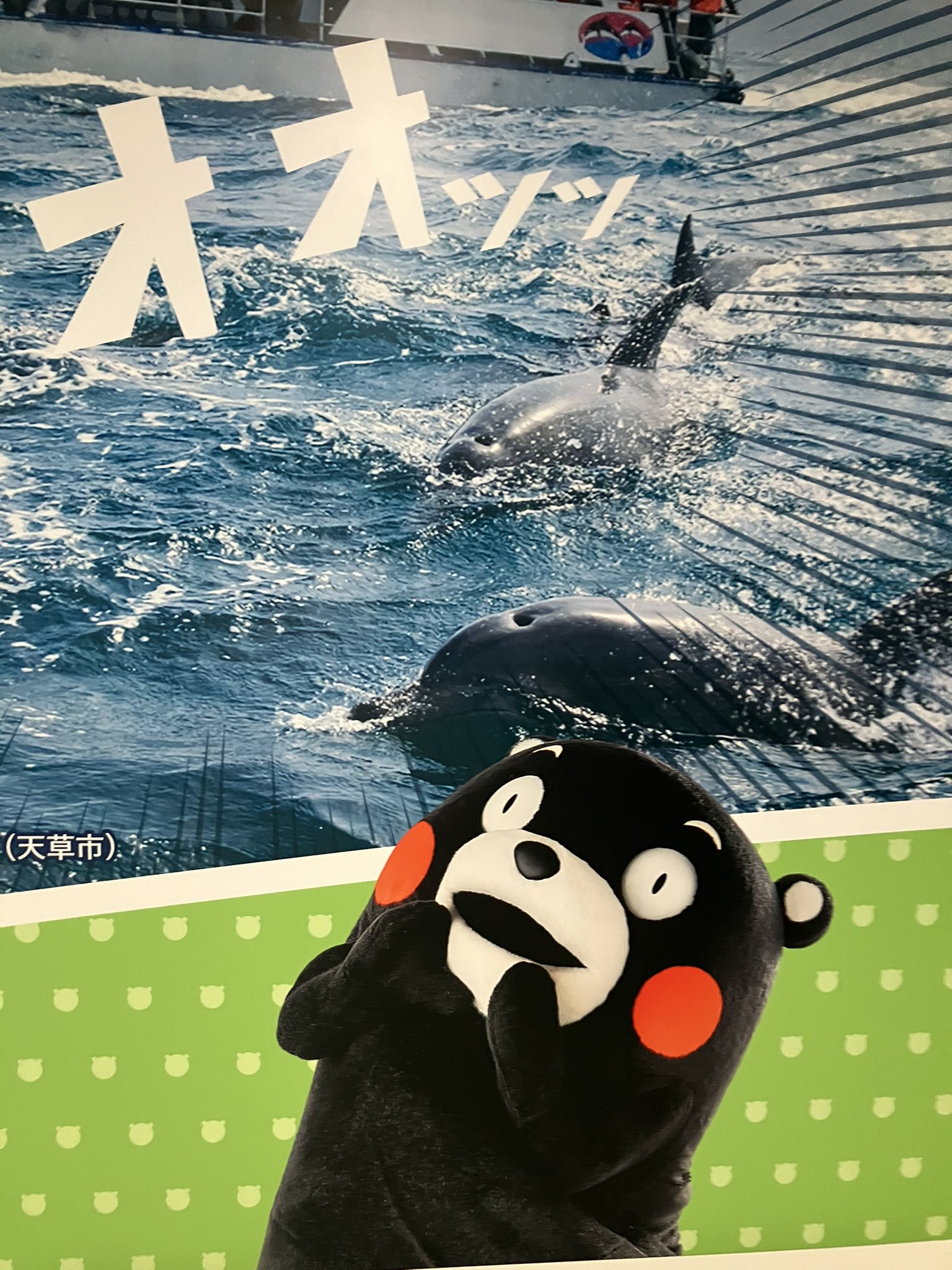 オレはレオ 俺が必ず勝つ