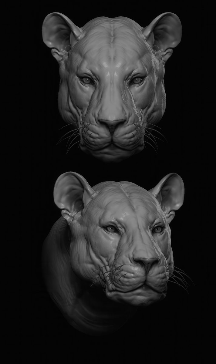 How are you, gentlemen artists? And I will share with you #references and images on sculpting #Anatomy #Animals Pack №24 #3d #gamedev #3dart #hand #modeling #3DModel #sculpting #leg #dog #gameart #zbrush #horse #snake #ecorche #sculpture #muscles #chest #ears #neck #cat