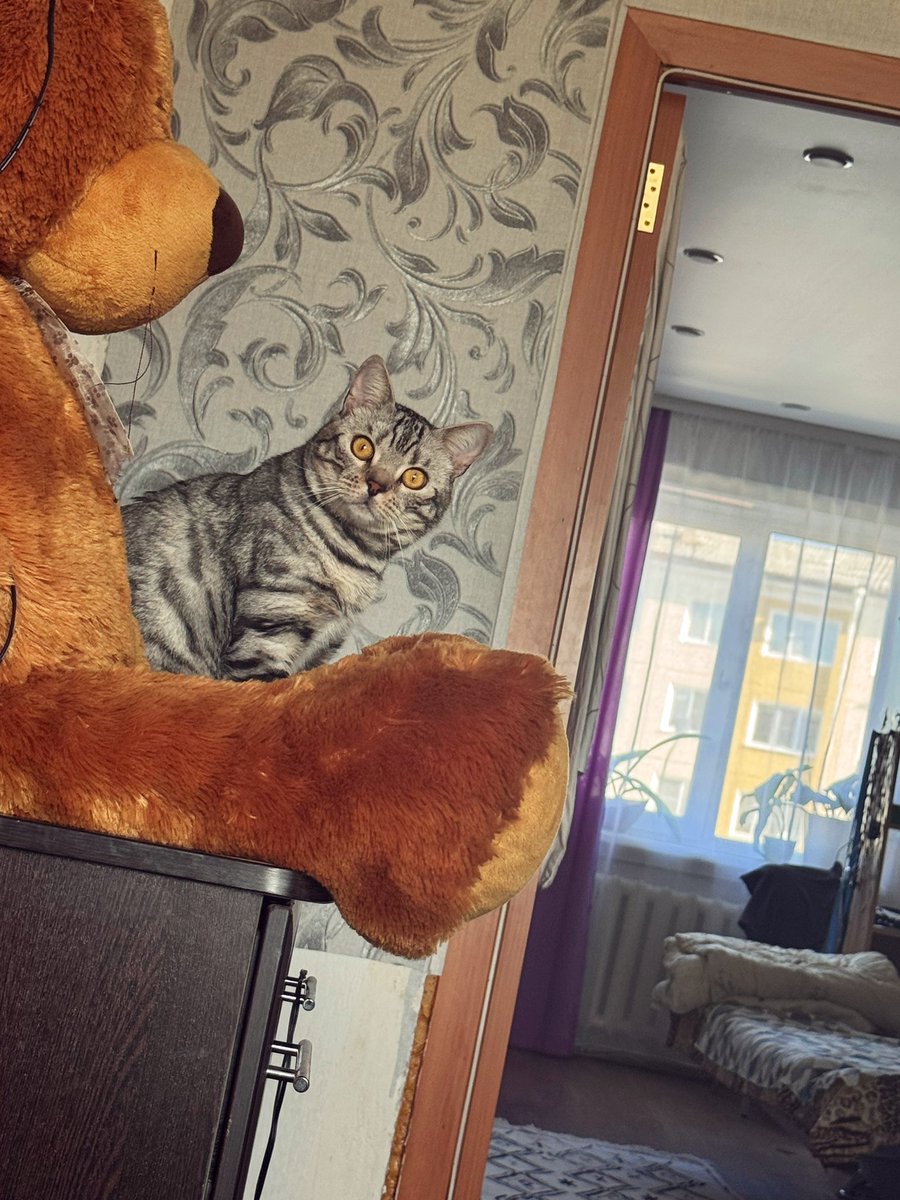 мамины булки