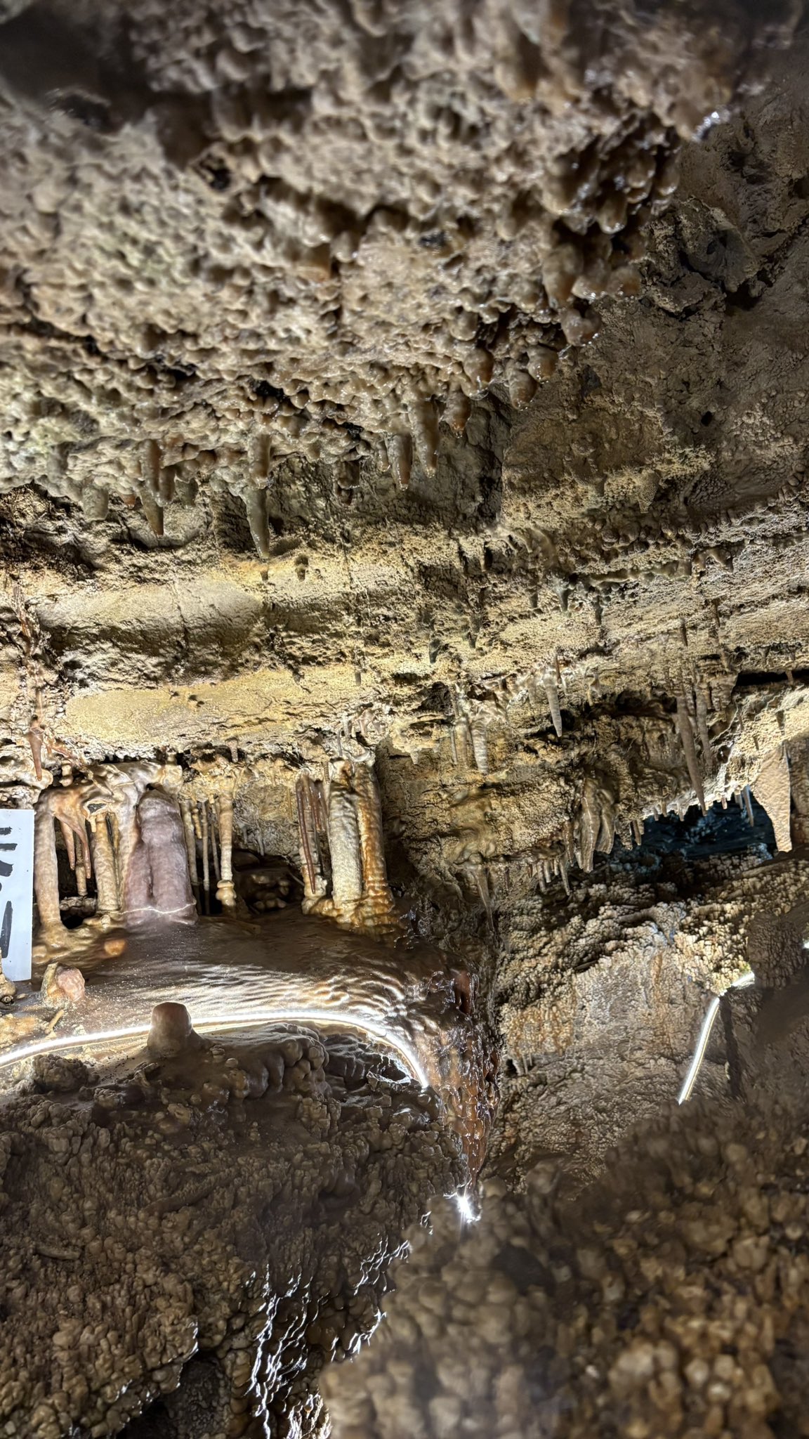 鍾乳石…大 追溯大自然的鬼斧神工｜SHASTA Caverns | 社区旅行精选