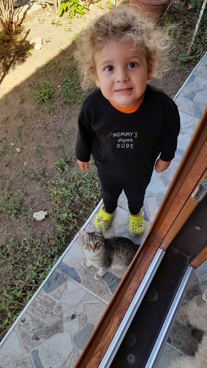 erkurtcu_1907's tweet image. Pars&apos;ım ve Hacer 
😼🧿💙💛
#cumartesi #kedi #Pars #torun