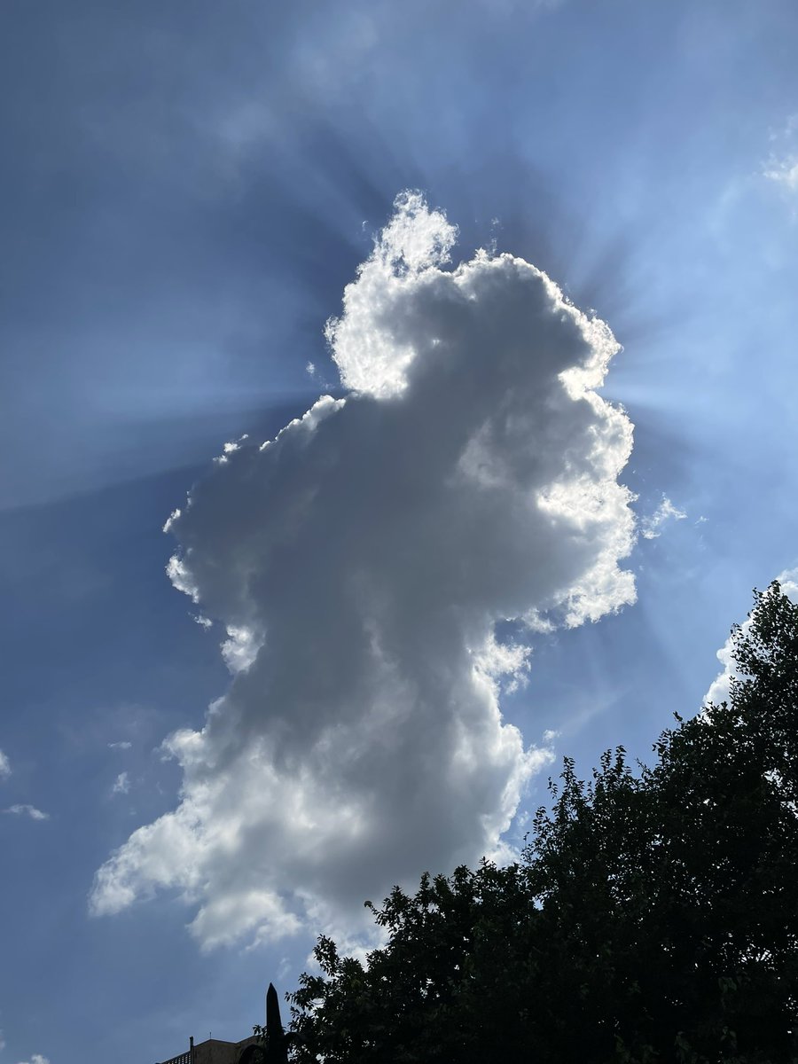 aakashgard tweet media