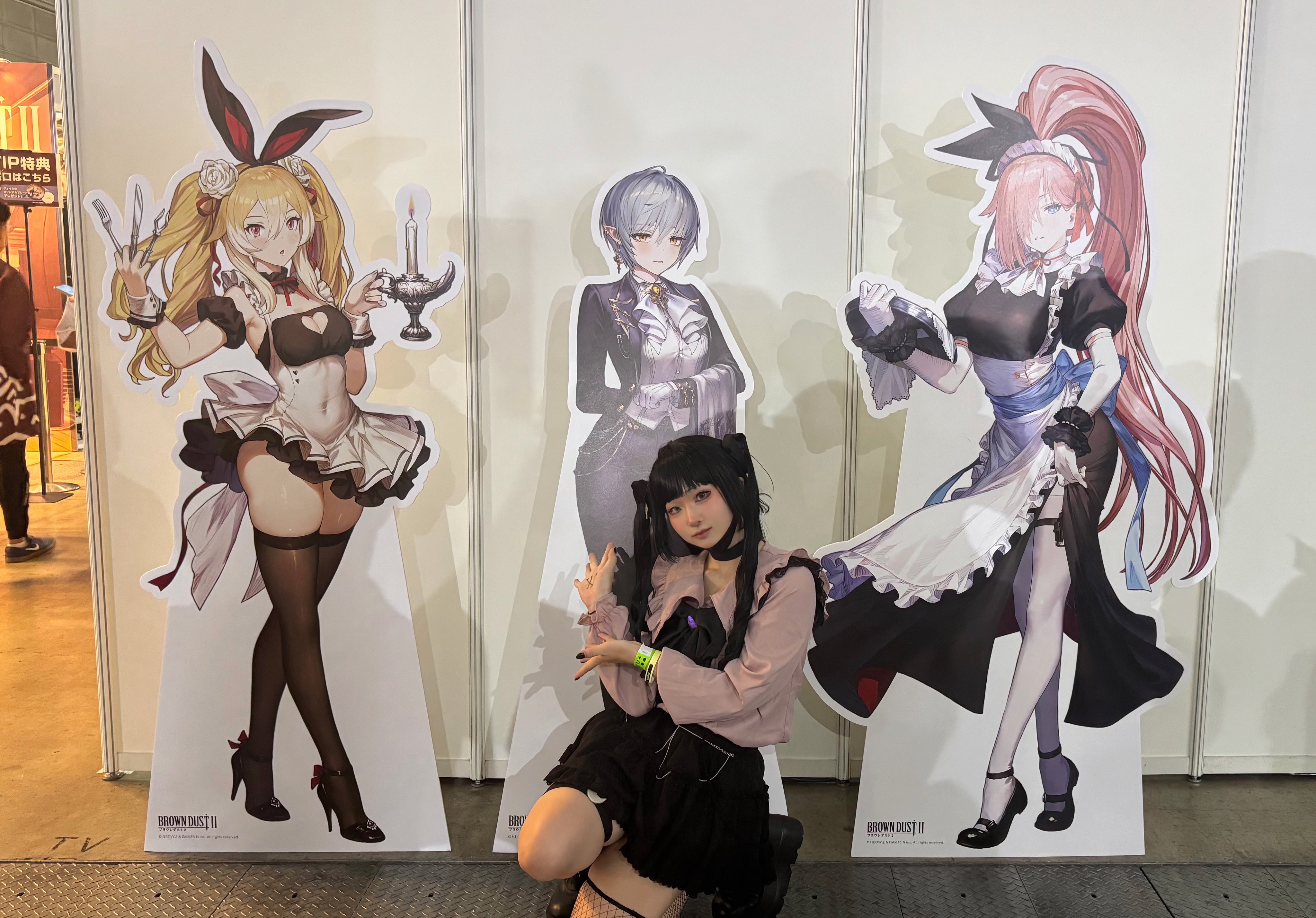 ブラウンダスト2 C106 ウィルヘルミナ クッション ブラウンダスト 2 韓国限定 ウィルヘルミナ クッション