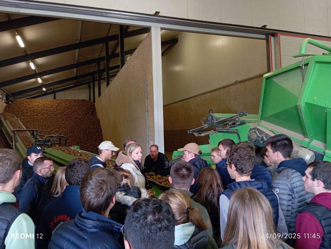 CfppaLeParaclet's tweet image. Journée 3 : voyage d&apos;études aux Pays-Bas des BTS #ACD. 🇳🇱 
Le matin : visite d&apos;une exploitation agricole en polyculture de 225 ha : pommes de terre de consommation, blé, semences de gazon, betteraves sucrières, oignons, haricots verts &amp;amp; cultures fourragères. #semisdirect