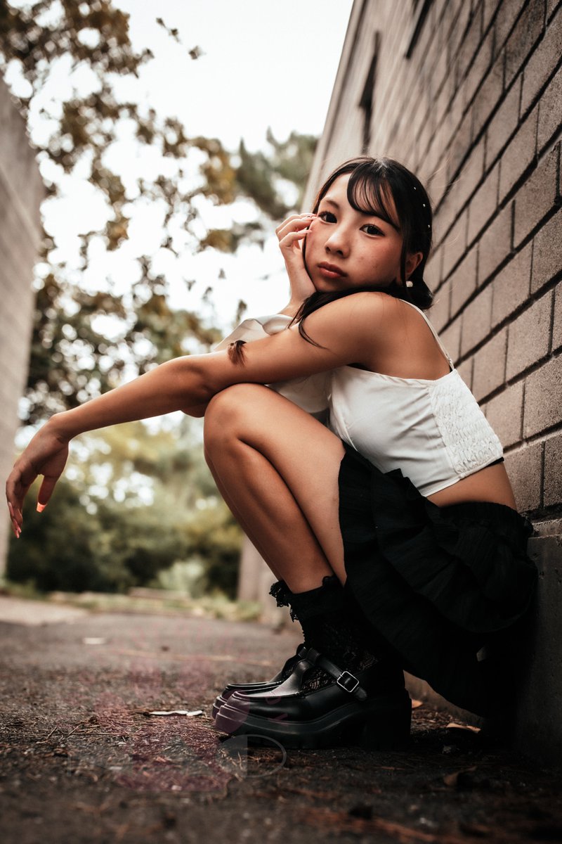 sena - Search / X
