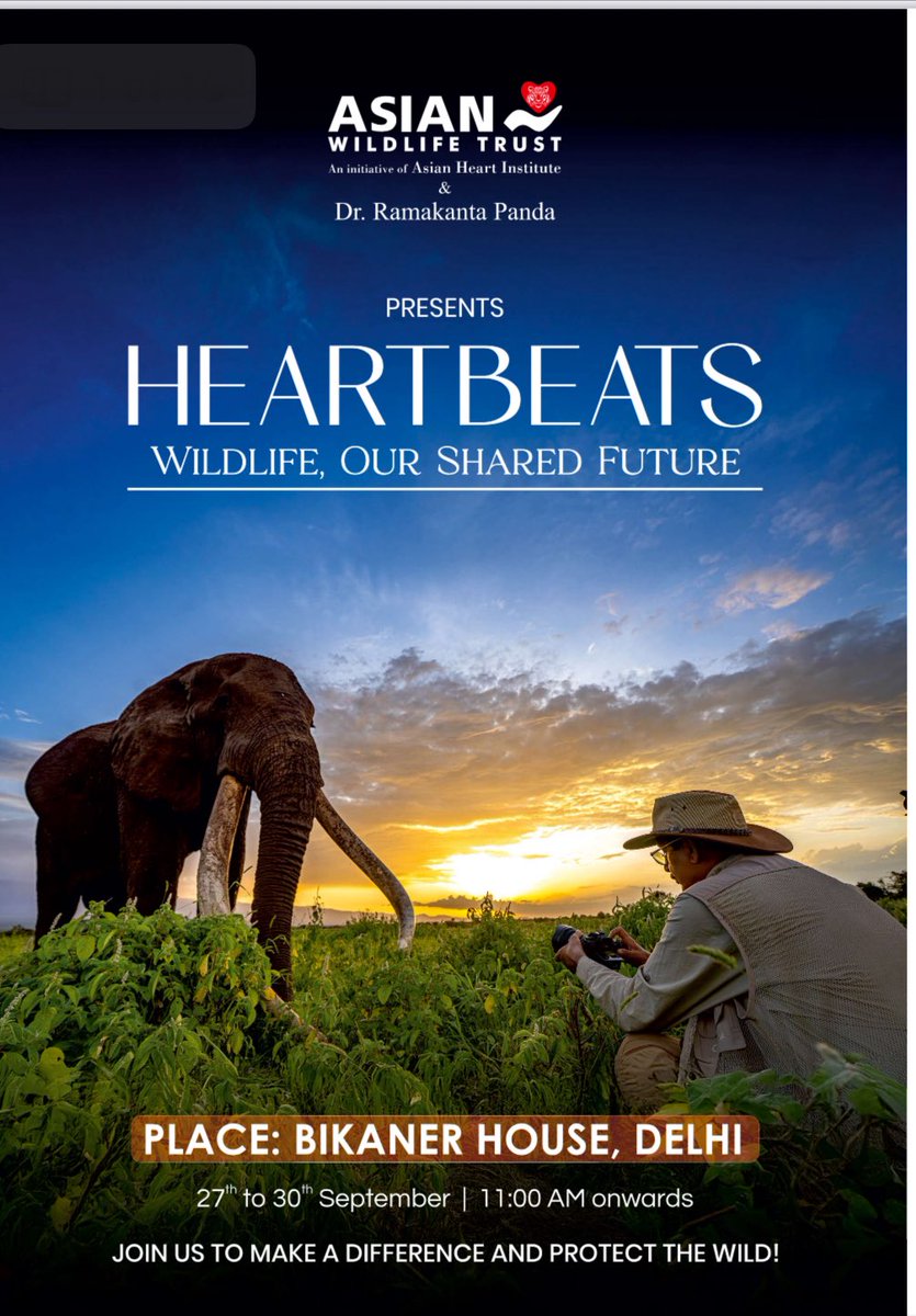 Sheela Bhatt शीला भट्ट tweet media