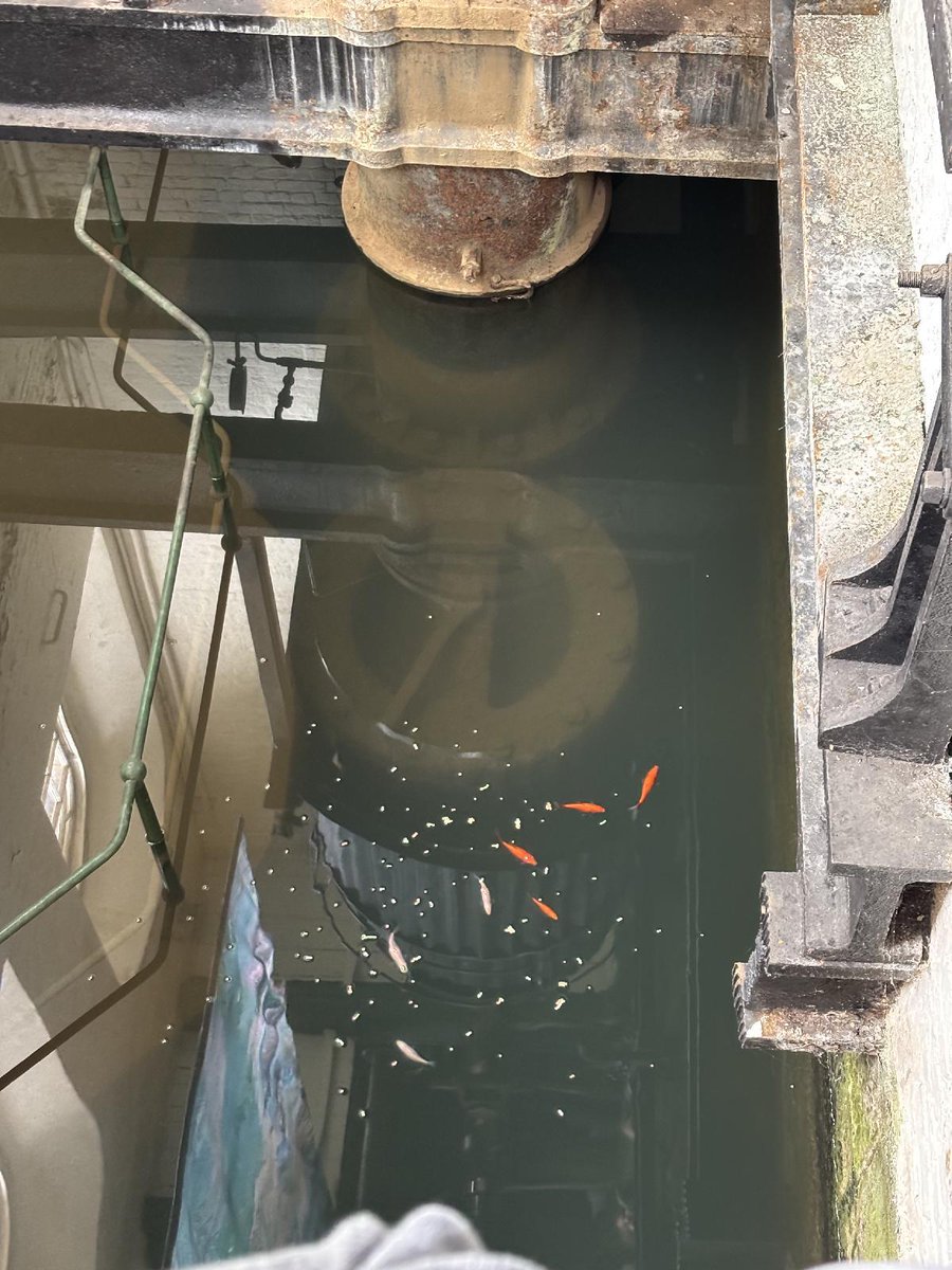 The William Hogarth School tweet media