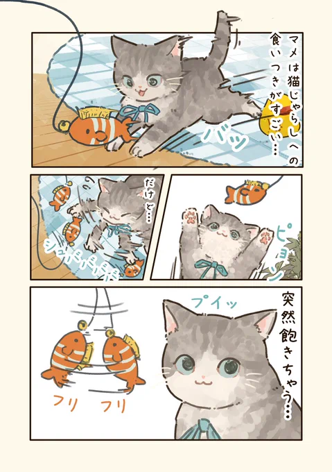 マメと猫じゃらし🐈🐟 