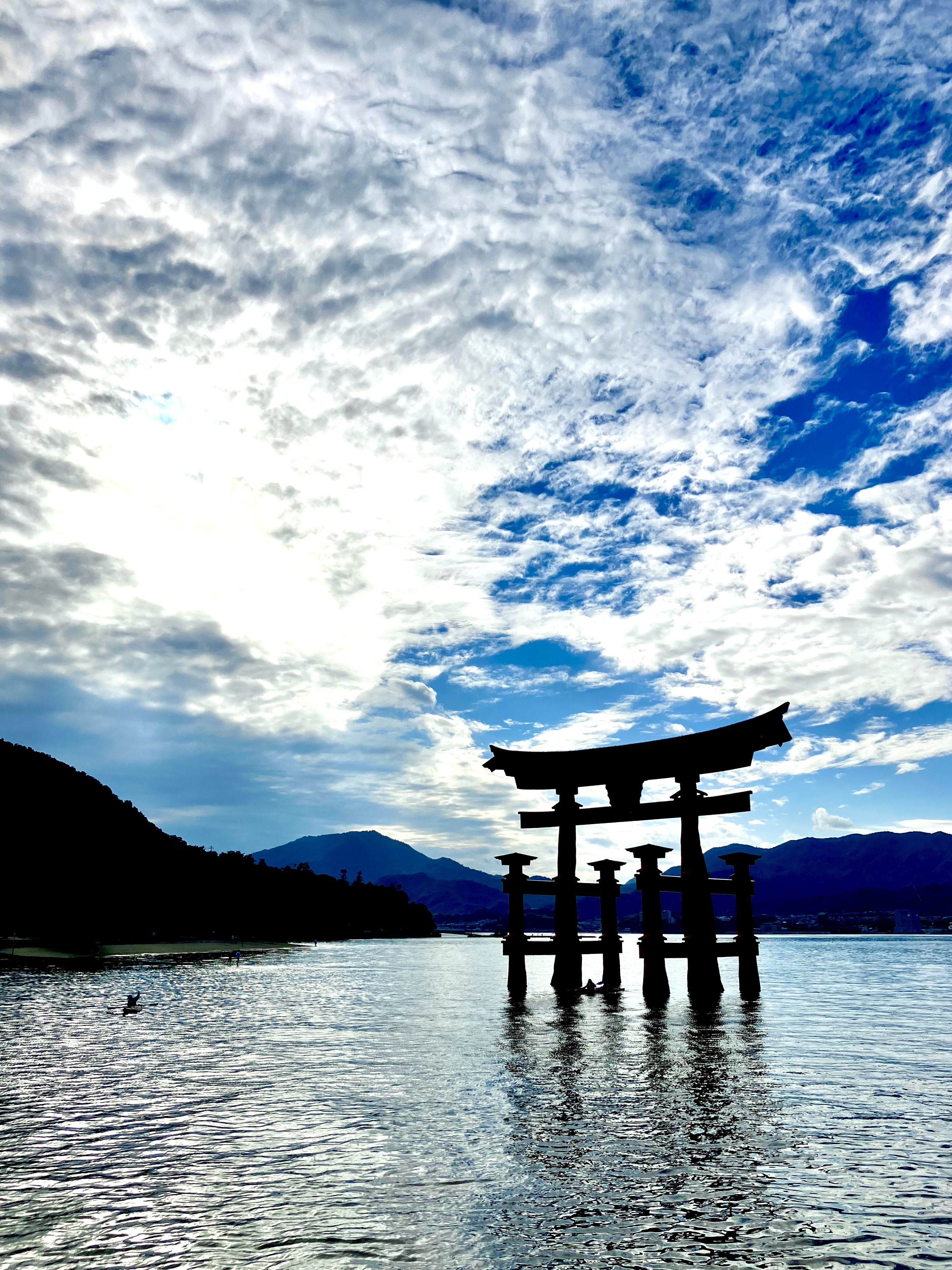 みかん犬🍊🍊 (@tag7master) / X