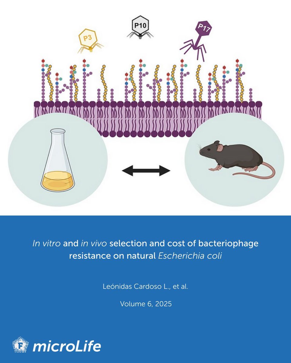 microLife tweet media