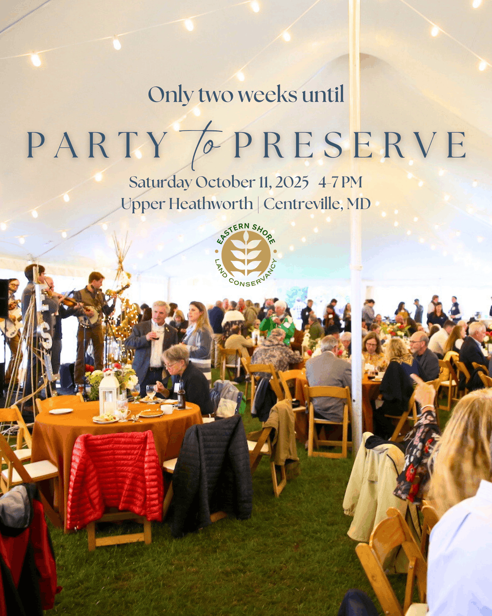 Eastern Shore Land Conservancy tweet media