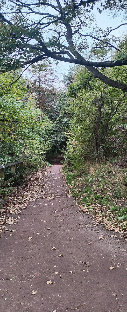 Jesmond Dene parkrun tweet media