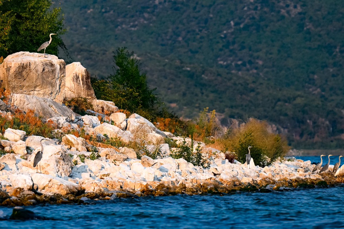 WorldTourismDay2025: Through the #EuforPrespa Programme, w/ support by <a href="/AmbassadorEU/">EU Delegation to North Macedonia</a> &amp; national partners, <a href="/UNDPMK/">UNDP MK</a> is transforming #Prespa from a hidden gem into a #SustainableTourism model — rooted in biodiversity, cultural heritage &amp; community-driven economic development. 🏞️