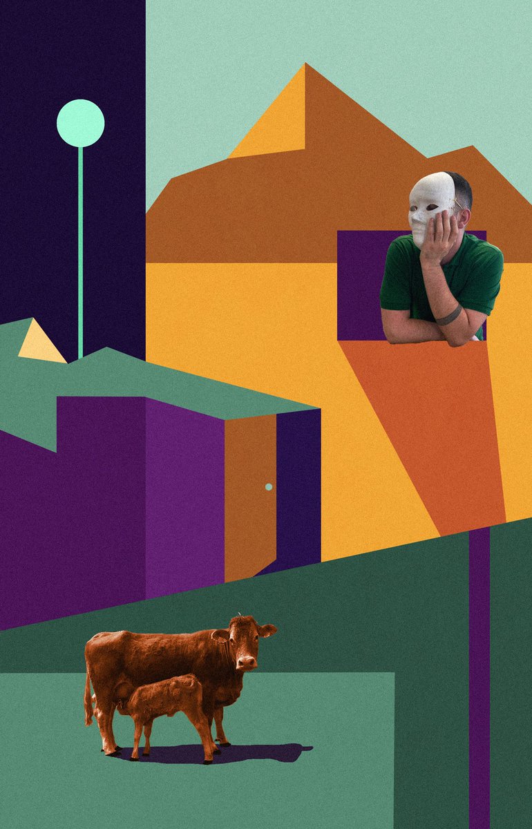 Mujo 🔳 tweet media