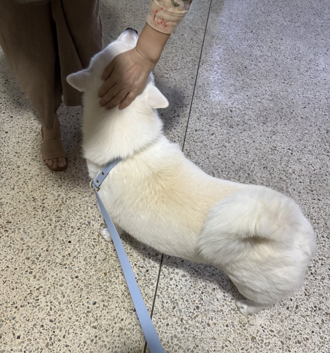 🐻‍❄️내이름은 윤석이🐻‍❄️ (@dog_ys1223) on Twitter photo 