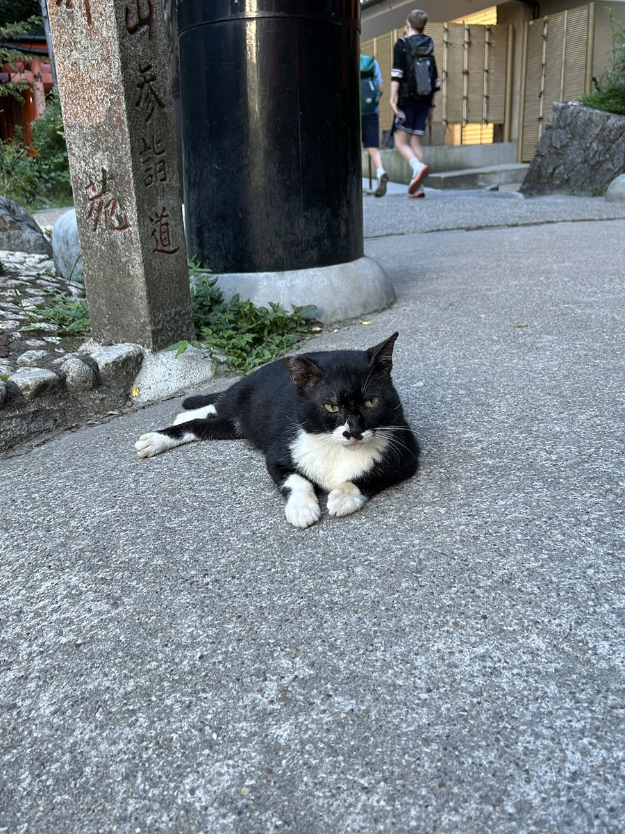 FUNERAIHOME's tweet image. this summer was so emotionally volatile yet so rewarding