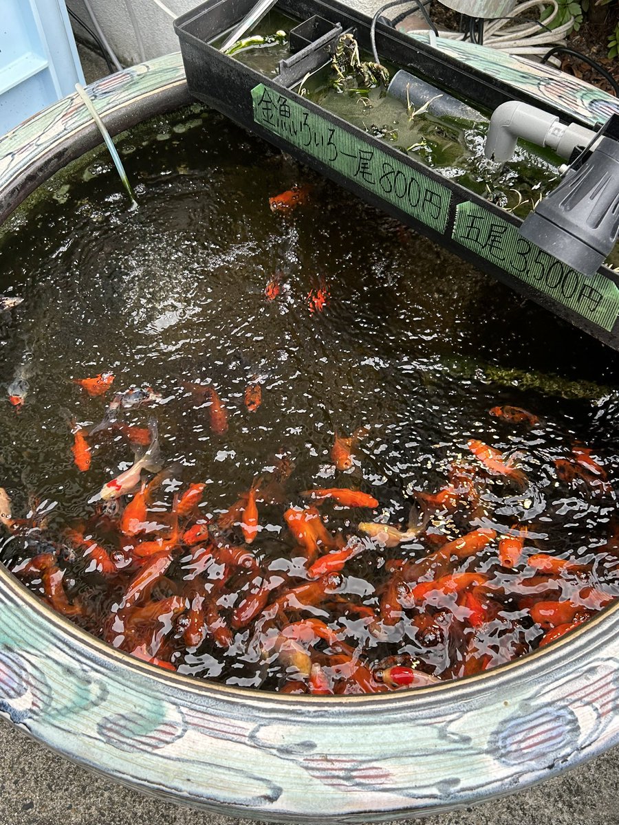 FUNERAIHOME's tweet image. this summer was so emotionally volatile yet so rewarding