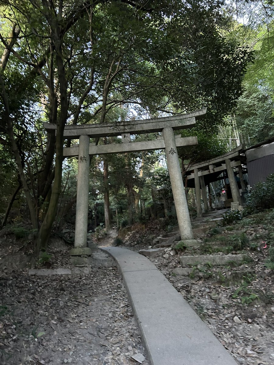 FUNERAIHOME's tweet image. this summer was so emotionally volatile yet so rewarding