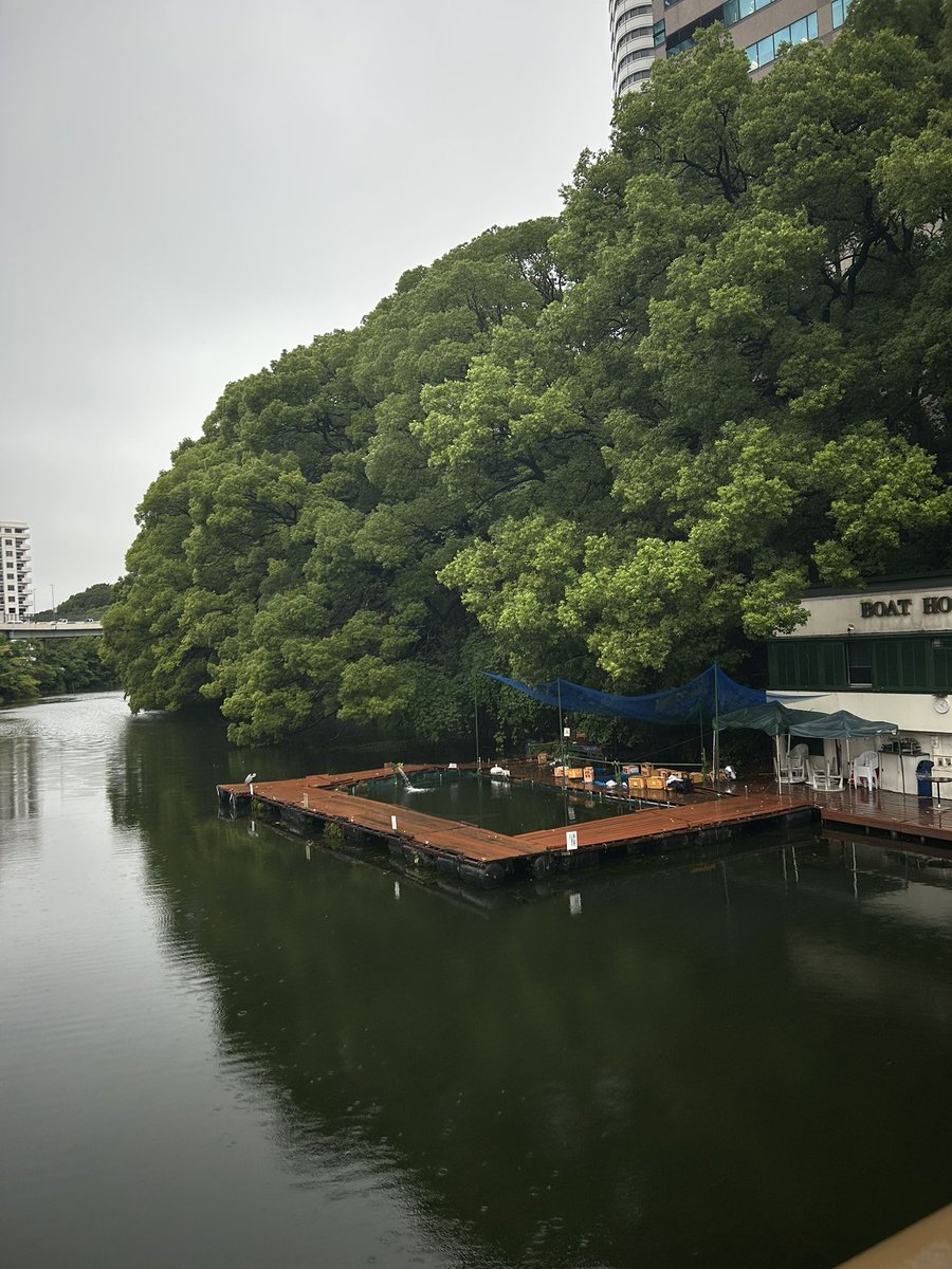 FUNERAIHOME's tweet image. this summer was so emotionally volatile yet so rewarding