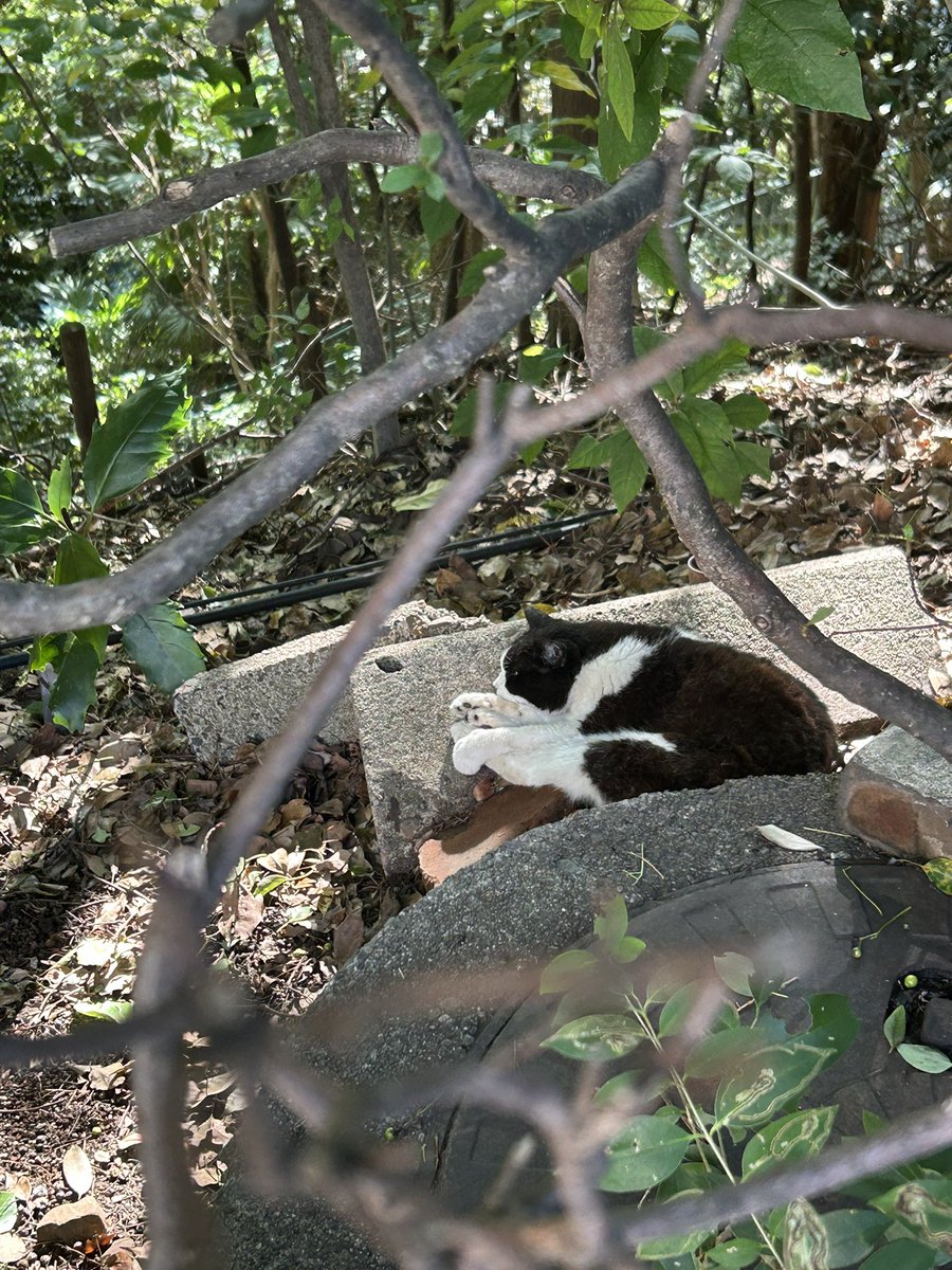 FUNERAIHOME's tweet image. 